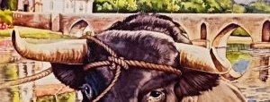 Vaca das Cordas 2024