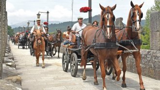 Fim de semana em cheio em Ponte de Lima com a XIII Feira do Cavalo