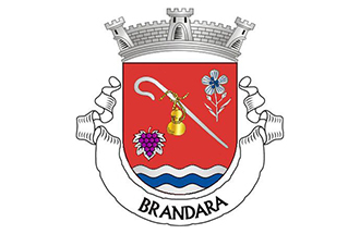 Brandara
